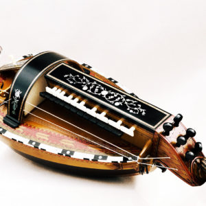 Vielle traditionnelle VT-006