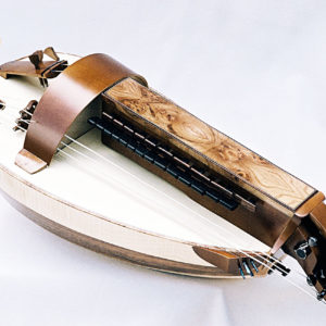 Vielle contemporaine VC-006