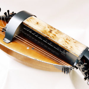 Vielle contemporaine VC-010