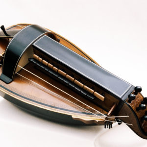Vielle traditionnelle VT-010