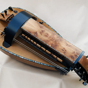 Vielle contemporaine VC-014