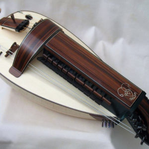 Vielle contemporaine VC-020