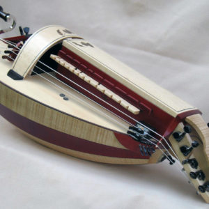 Vielle contemporaine VC-024