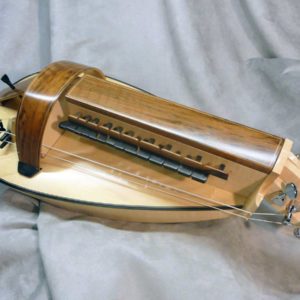 Vielle d'étude VE-007