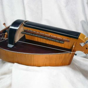 Vielle d’étude VE-009